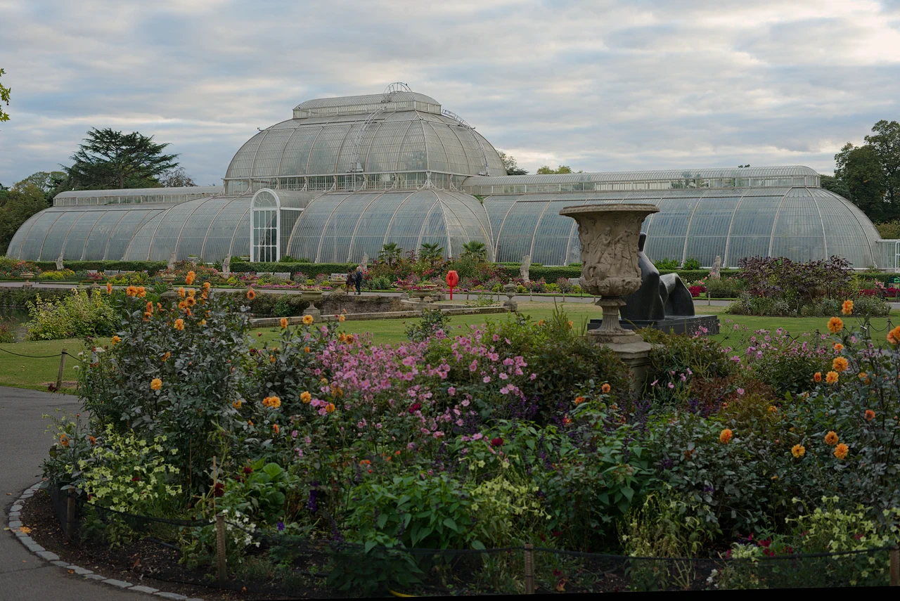 Kew Gardens Background