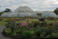 Kew Gardens