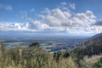 DSC05521-2-3-Default