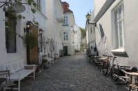 Charming Cobblestone Alley