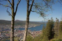 Bergen City and Fjord Panorama