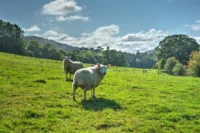 20211010_0013_4_5_tonemapped_tonemapped