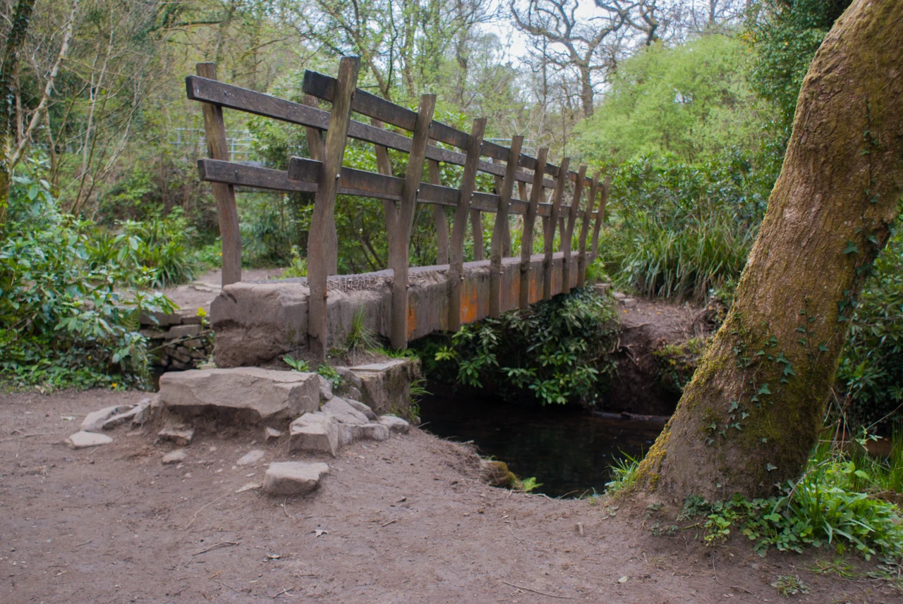 Penllergare Valley Woods Background