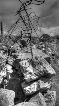 DSC06810-1-2-tonemapped