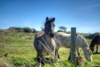 20240406_0152_tonemapped_tonemapped