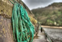 20240406_0082_tonemapped_tonemapped