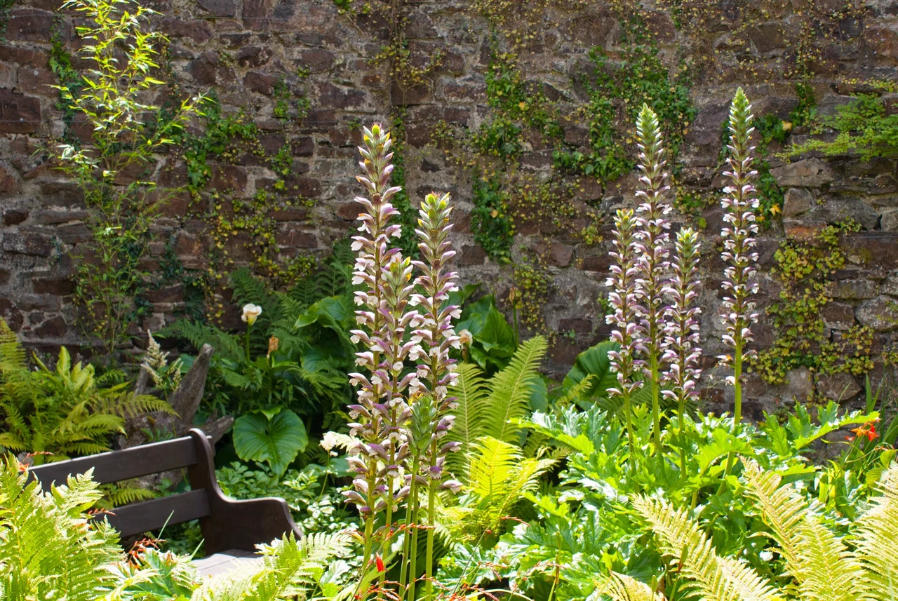 Colby and Amroth Background