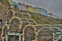 20240406_0022_3_4_tonemapped_tonemapped