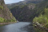 Serene Fjord Valley