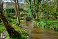 20240406_0163_tonemapped_tonemapped