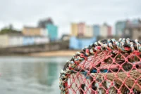 20240406_0025_6_7_tonemapped_tonemapped