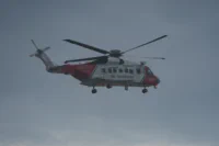 Guardians of the Coast