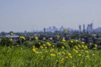 DSC06214