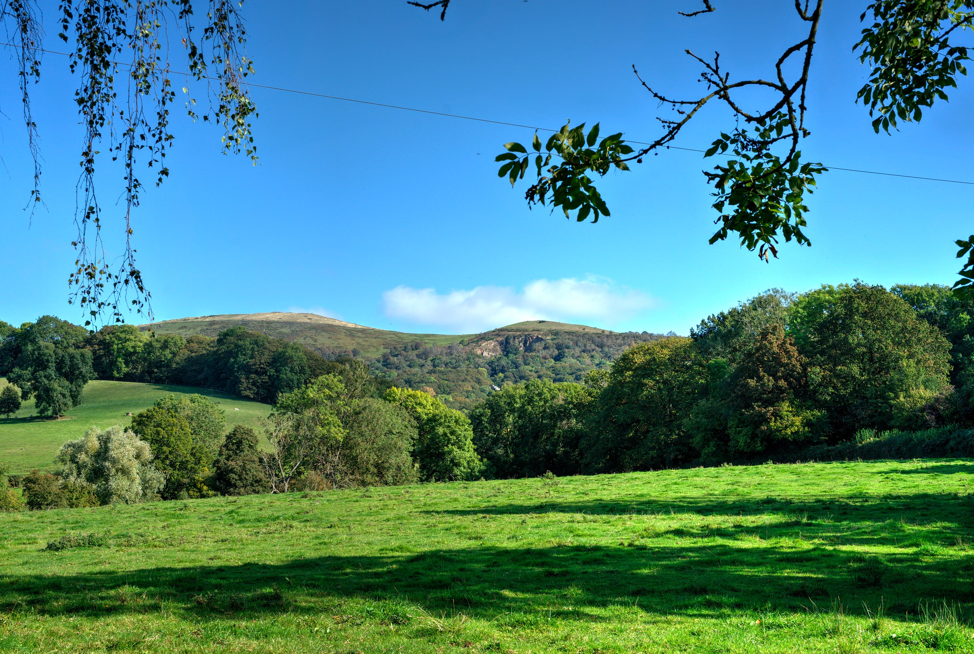 20211010_0022_3_4_tonemapped_tonemapped