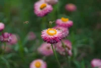20260914_0156