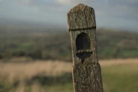 CleveHill