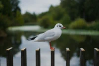20260914_0286