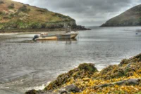 20240406_0097_tonemapped_tonemapped