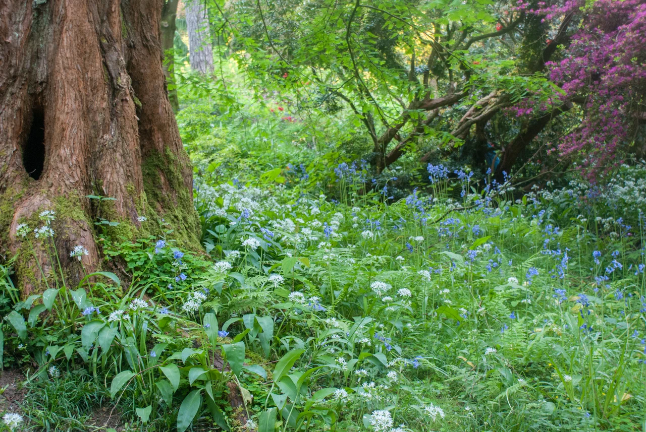 Llangollen Background