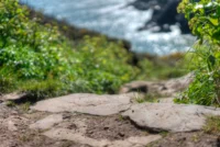 20240406_0145_tonemapped_tonemapped