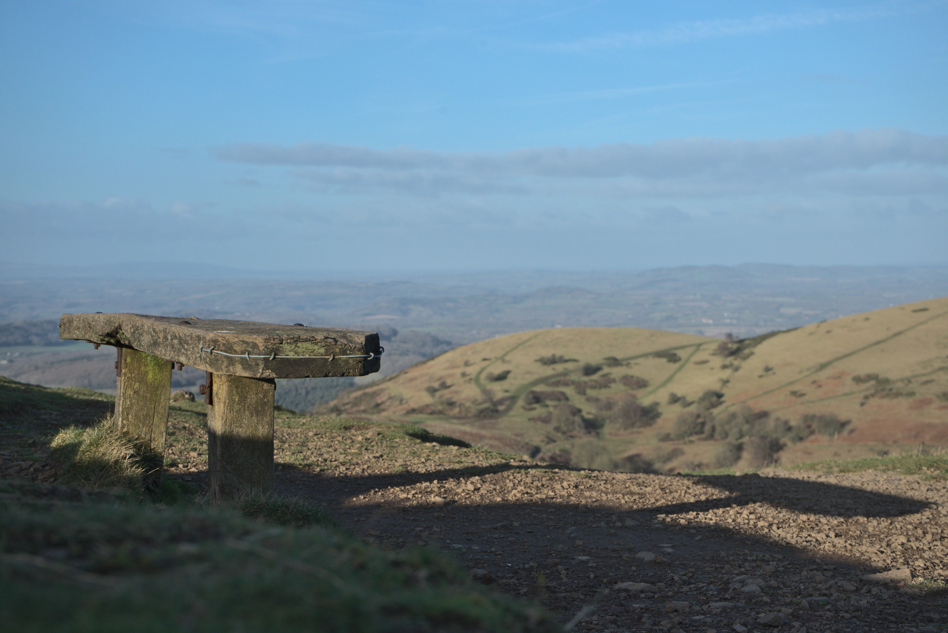 A bench with a view