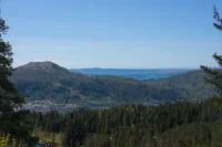 Panoramic Mountain and Fjord Vista