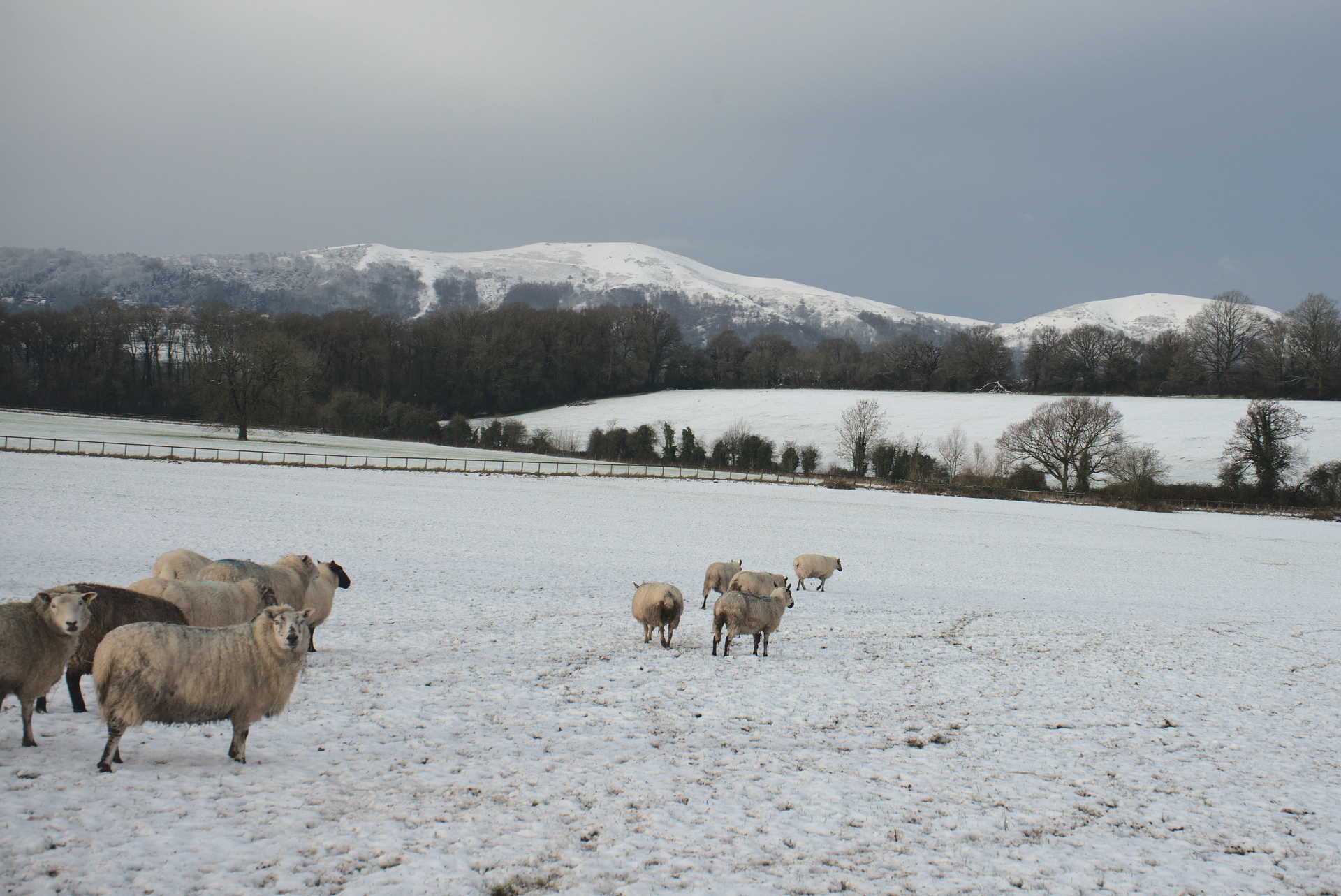 Hills in white