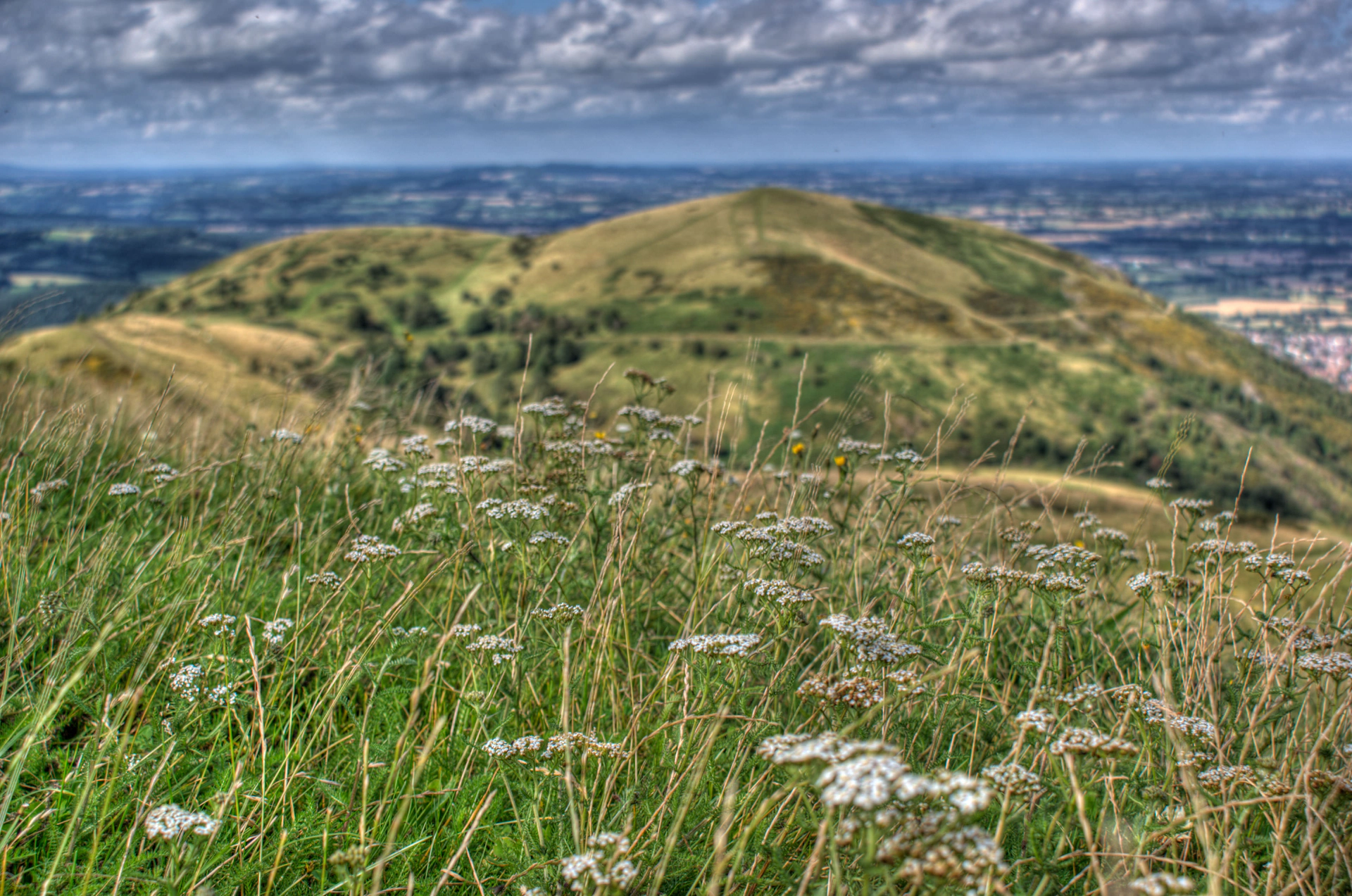 DSC0517-8-9-tonemapped